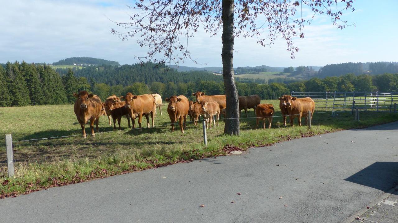 Aussichtsbauernhofpension Hof Gretchens ヴィンターベルク エクステリア 写真