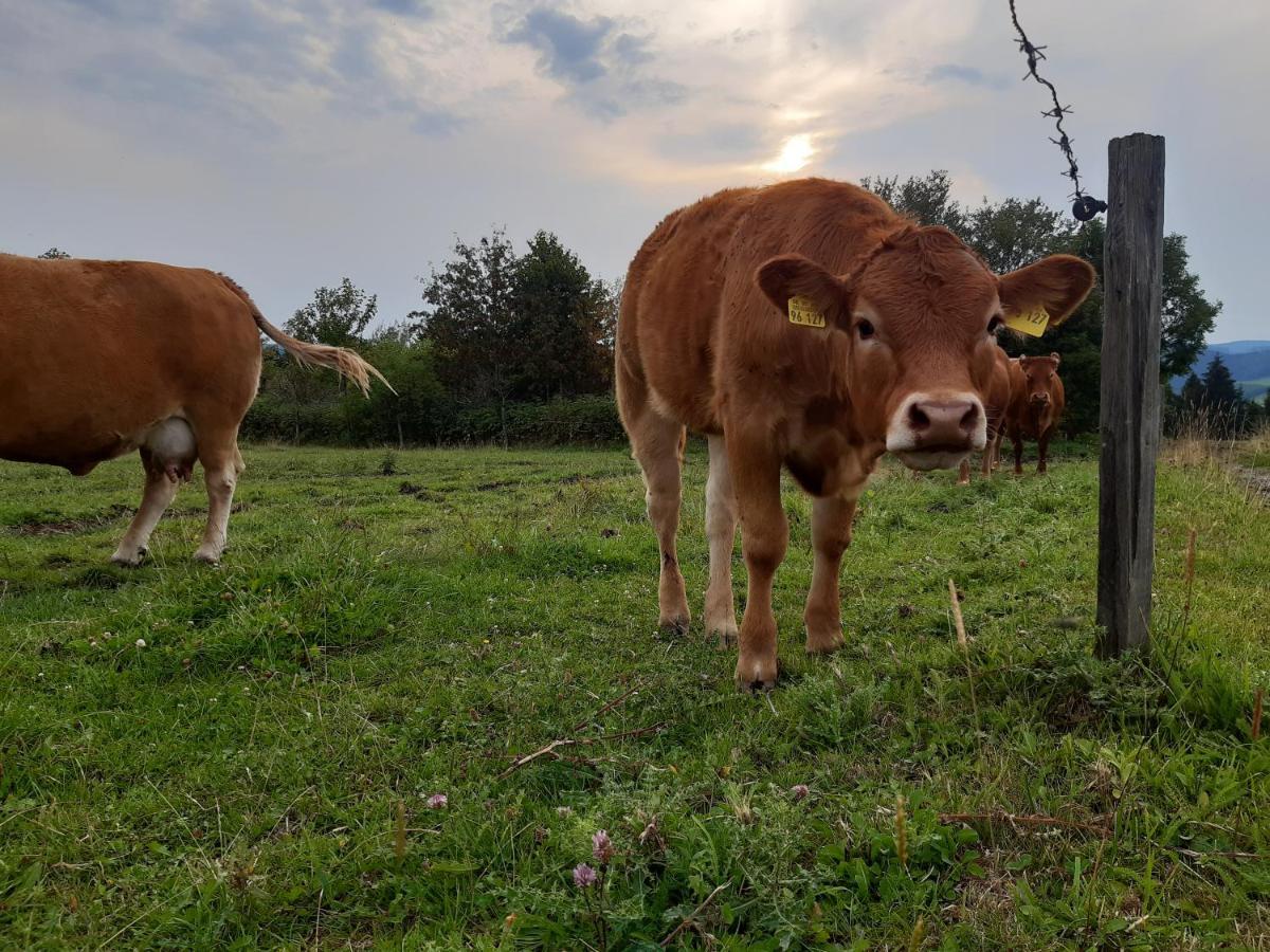 Aussichtsbauernhofpension Hof Gretchens ヴィンターベルク エクステリア 写真