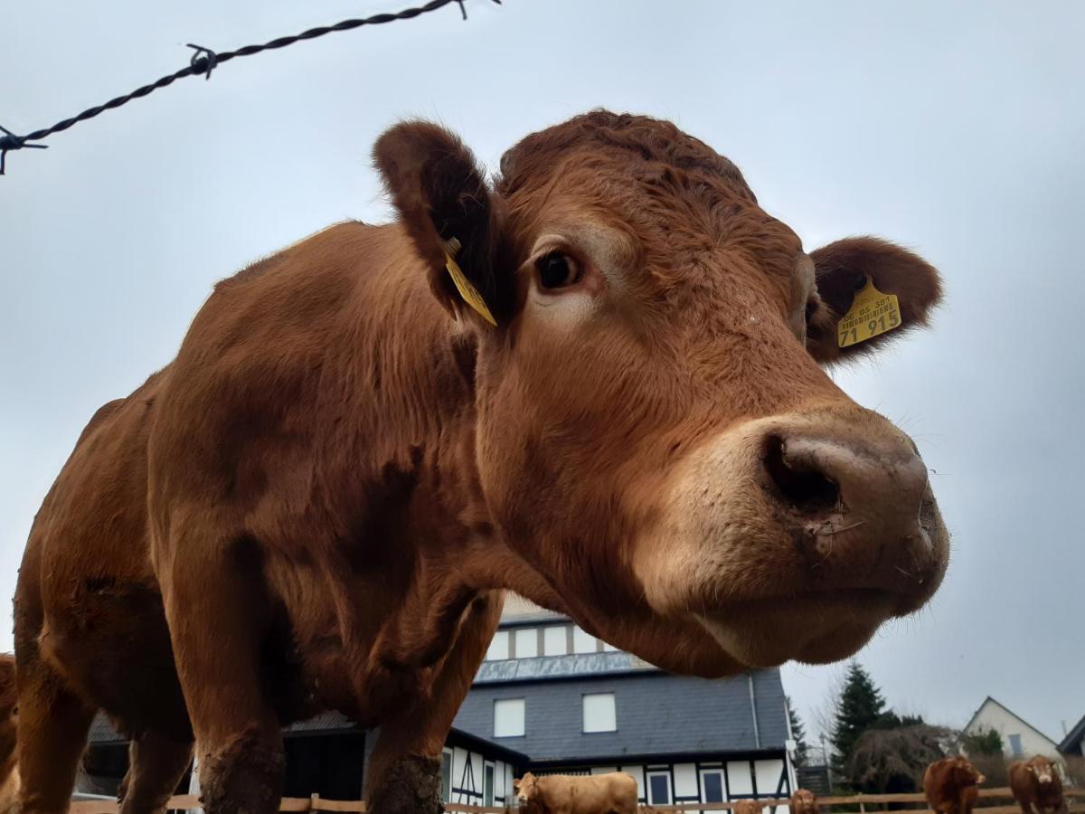 Aussichtsbauernhofpension Hof Gretchens ヴィンターベルク エクステリア 写真