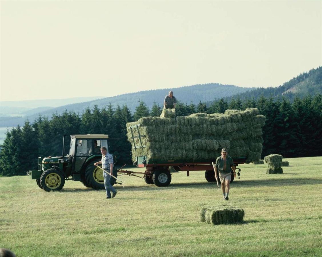Aussichtsbauernhofpension Hof Gretchens ヴィンターベルク エクステリア 写真
