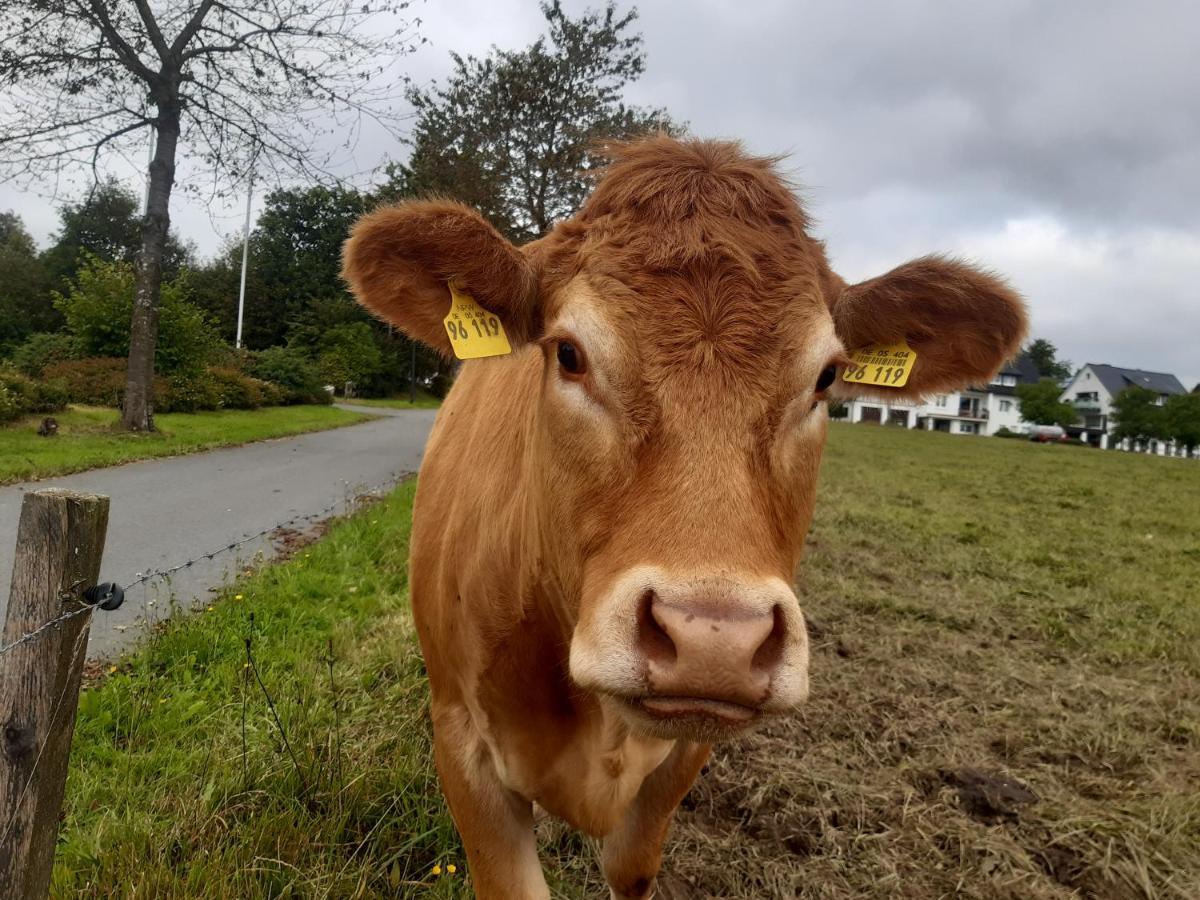 Aussichtsbauernhofpension Hof Gretchens ヴィンターベルク エクステリア 写真