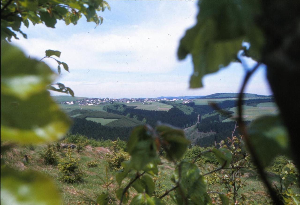 Aussichtsbauernhofpension Hof Gretchens ヴィンターベルク エクステリア 写真